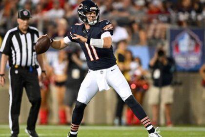 chicago bears vs houston texans match player stats