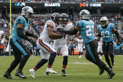 carolina panthers vs chicago bears match player stats