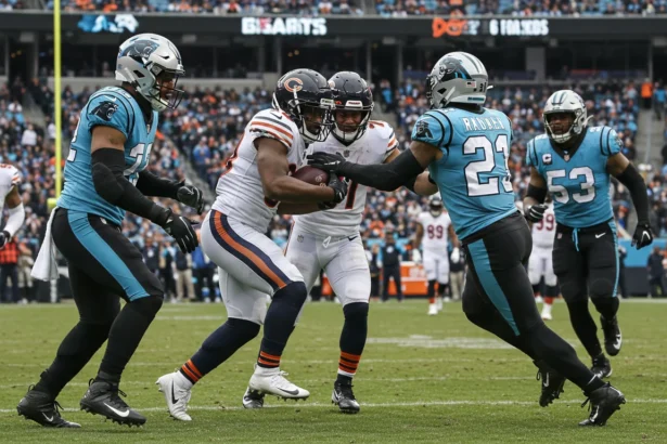 carolina panthers vs chicago bears match player stats