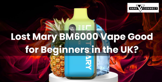 Lost Mary BM6000 Vape Good for Beginners in the UK?