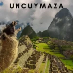 uncuymaza
